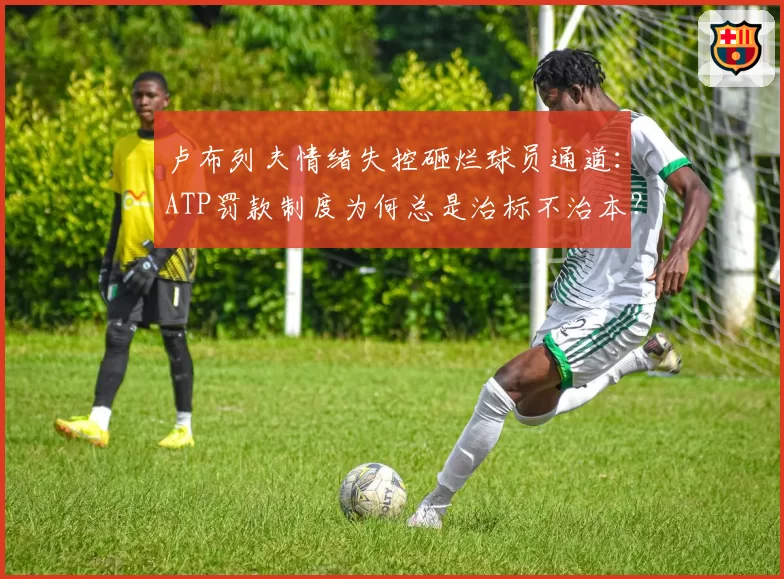 卢布列夫情绪失控砸烂球员通道：ATP罚款制度为何总是治标不治本？