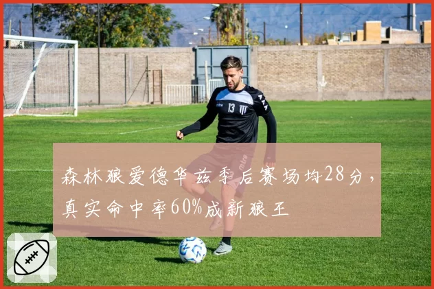 森林狼爱德华兹季后赛场均28分，真实命中率60%成新狼王