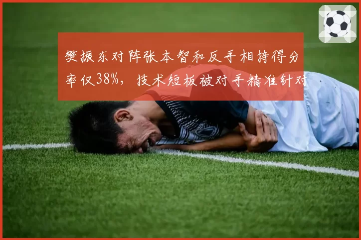 樊振东对阵张本智和反手相持得分率仅38%，技术短板被对手精准针对？