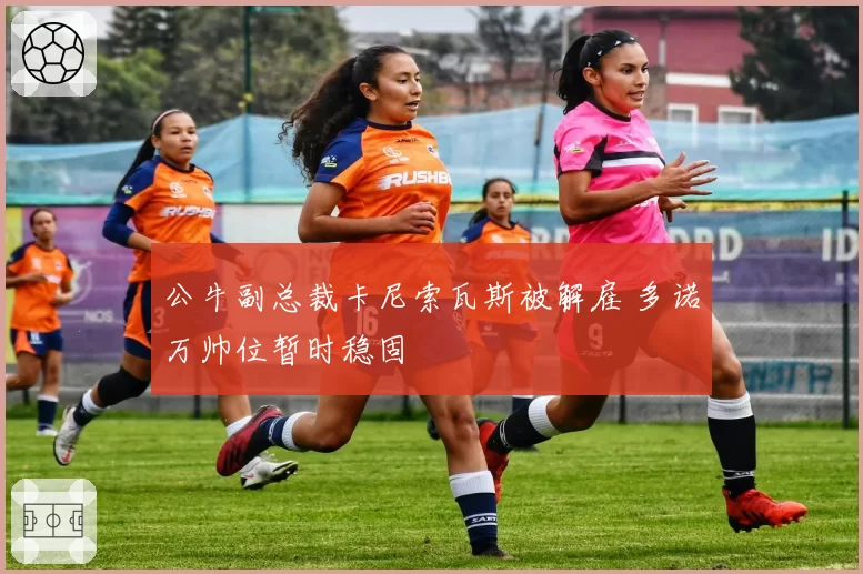 公牛副总裁卡尼索瓦斯被解雇 多诺万帅位暂时稳固