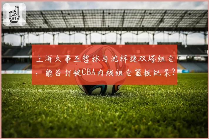 上海久事王哲林与沈梓捷双塔组合，能否打破CBA内线组合篮板纪录？
