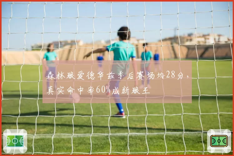 森林狼爱德华兹季后赛场均28分，真实命中率60%成新狼王